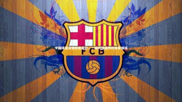 开云官网登录入口_中国球迷深情致谢桑尼，一段跨越国界的体育情缘